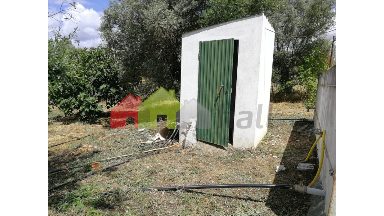 Terreno para Venda em Alcaçovas Foto 18