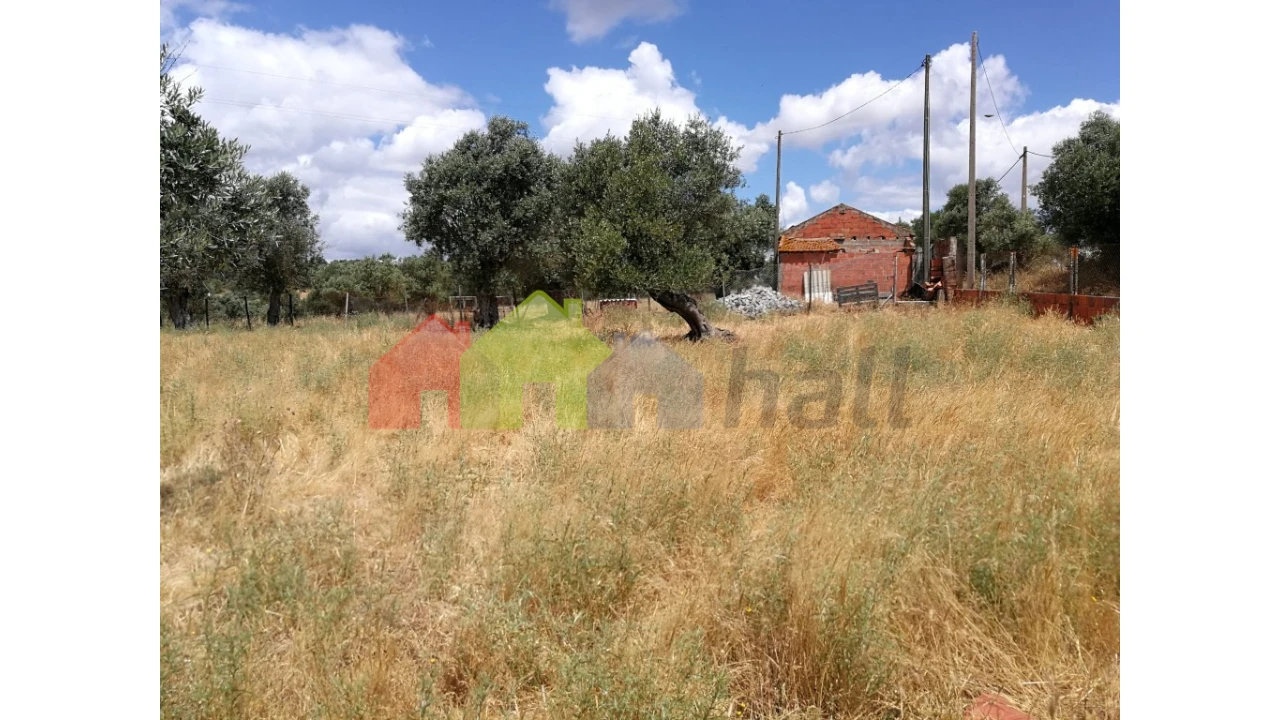 Terreno para Venda em Alcaçovas Foto 10