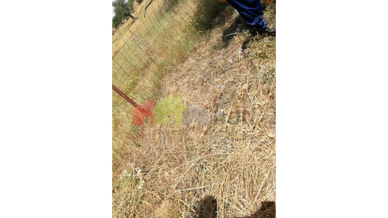 Terreno para Venda em Alcaçovas Foto 12