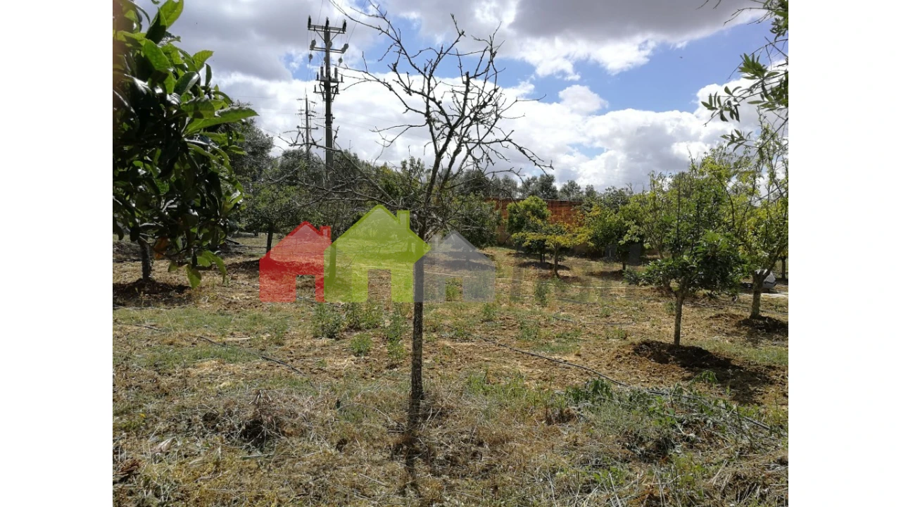 Terreno para Venda em Alcaçovas Foto 13