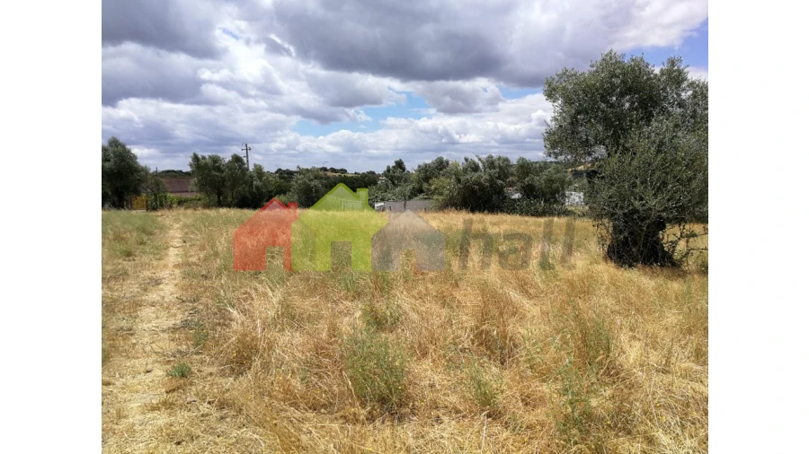 Terreno para Venda em Alcaçovas Foto 6