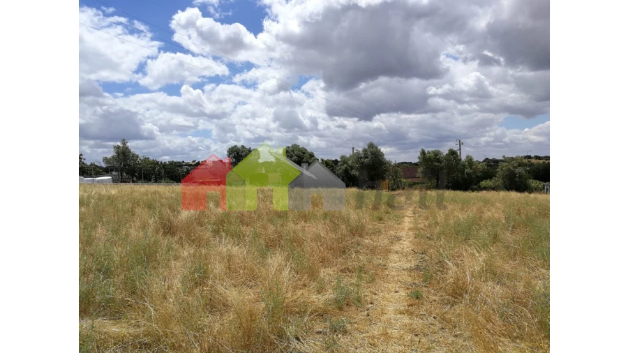 Terreno para Venda em Alcaçovas Foto 11