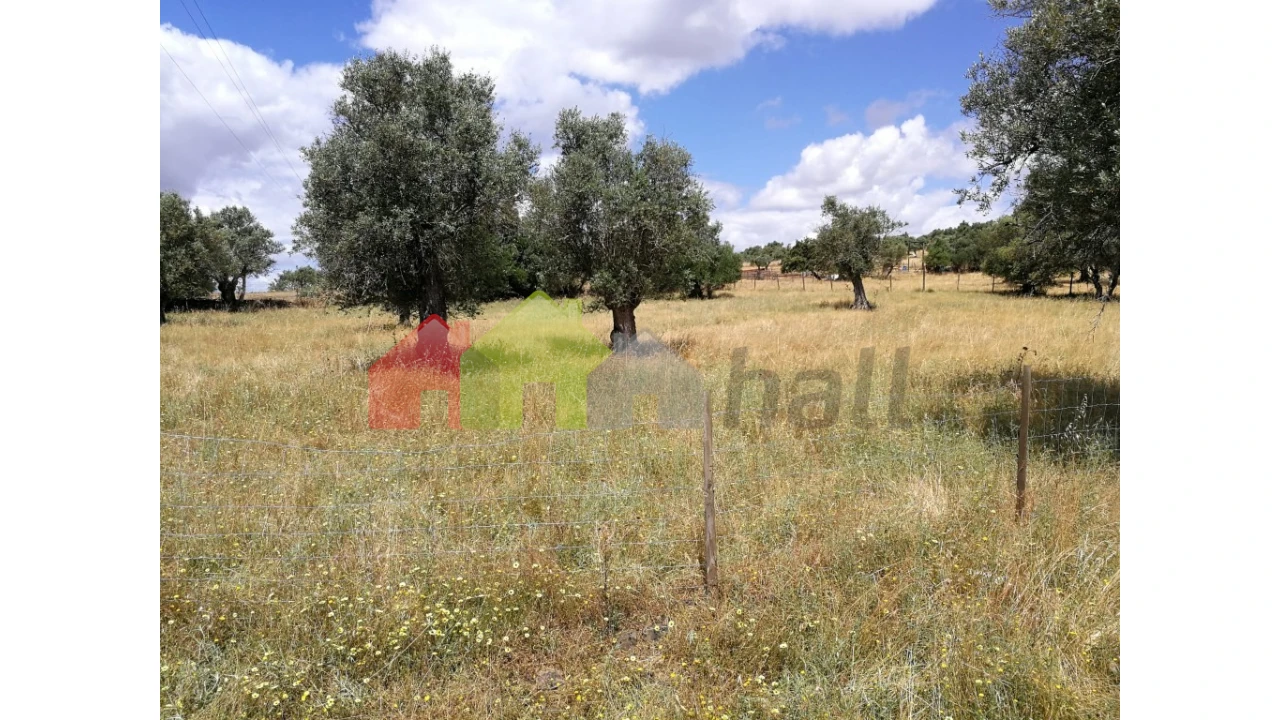 Terreno para Venda em Alcaçovas Foto 3