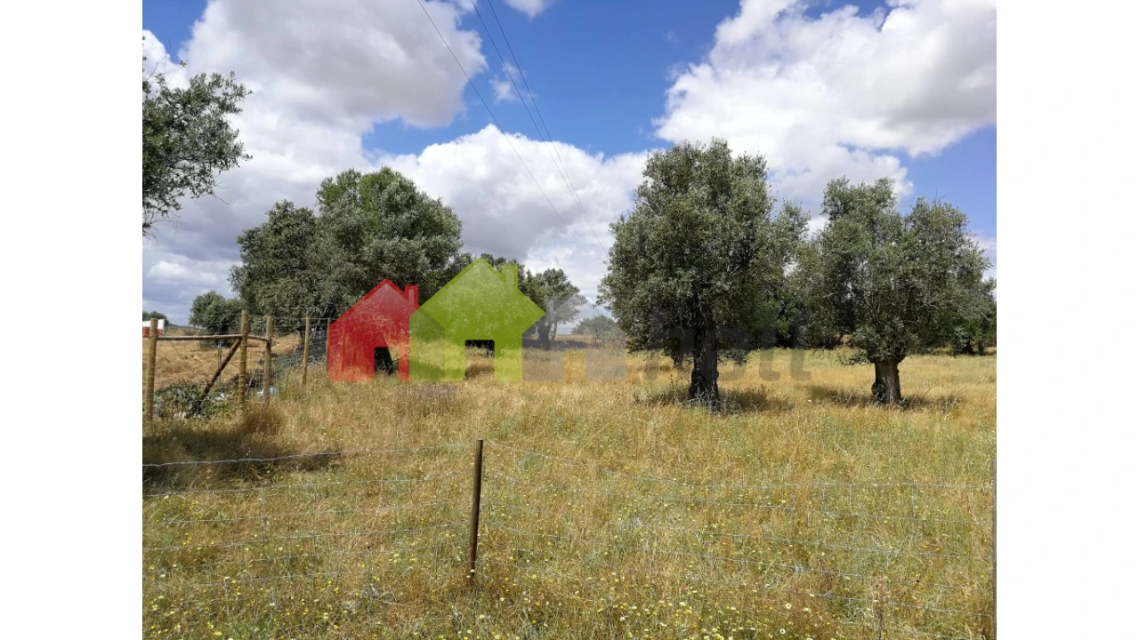 Terreno para Venda em Alcaçovas Foto 4