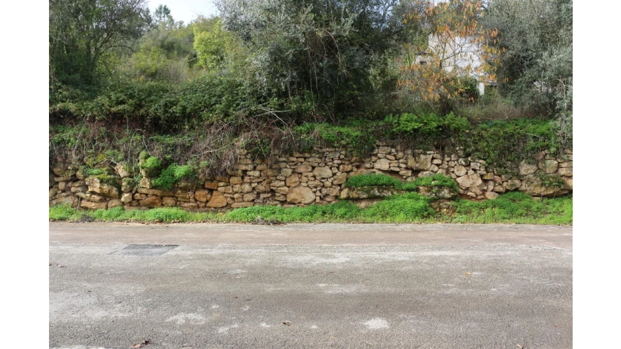 Terreno para Venda em Assafarge e Antanhol Foto 1