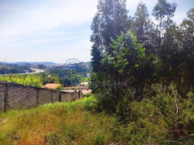 Terreno para Venda em Alfena Foto 14