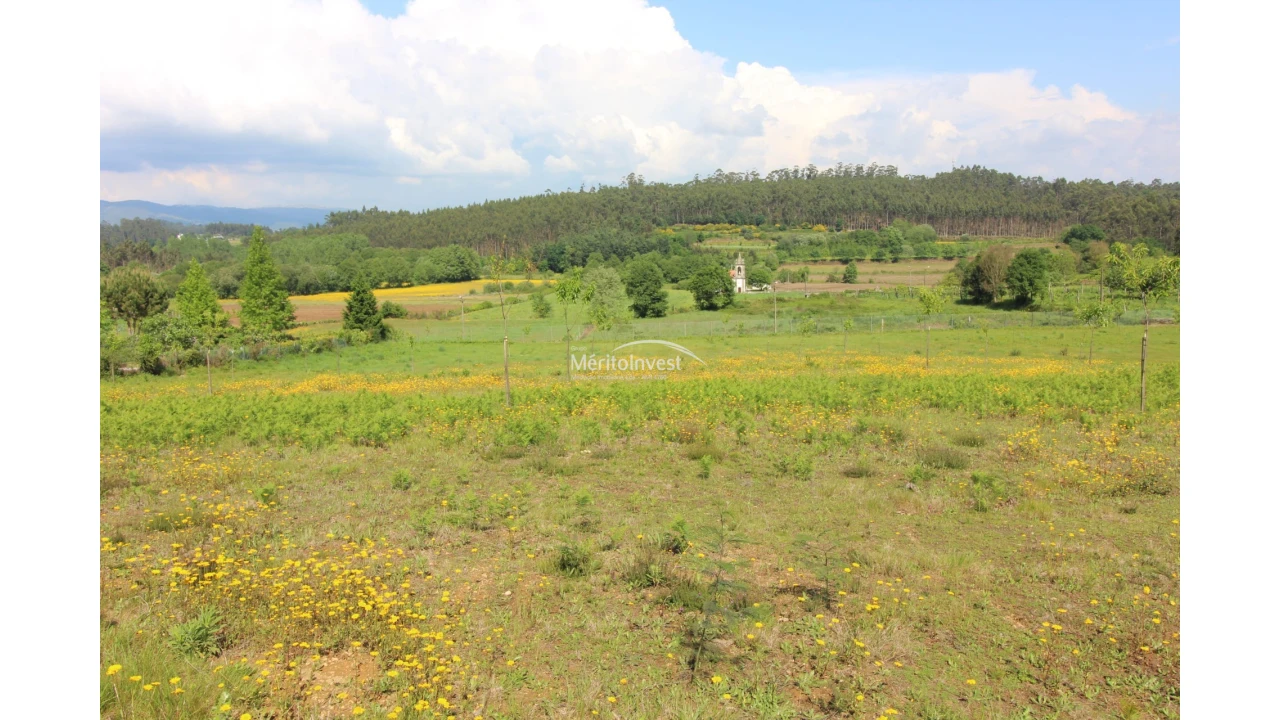 Terreno para Venda em Associação de Freguesias do Vale do Neiva Foto 6
