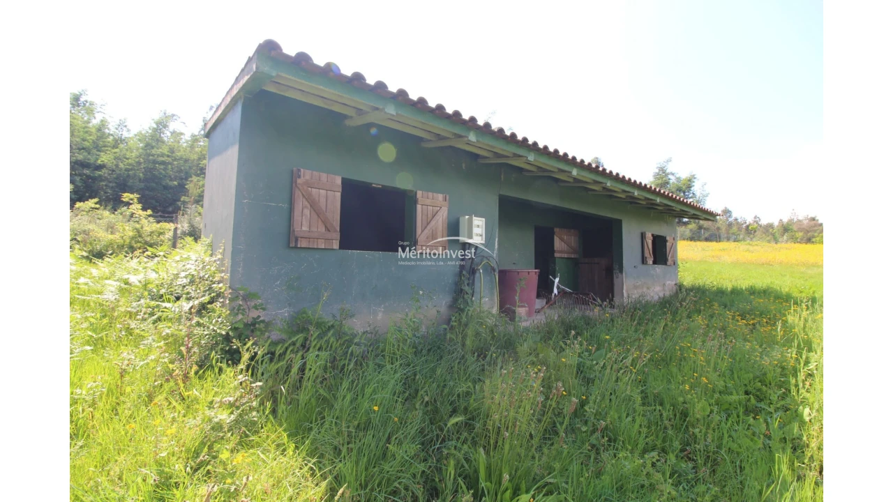 Terreno para Venda em Associação de Freguesias do Vale do Neiva Foto 10