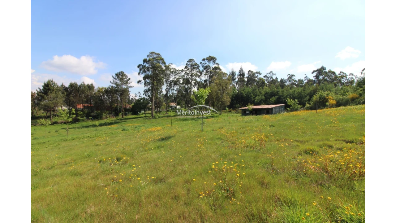 Terreno para Venda em Associação de Freguesias do Vale do Neiva Foto 13
