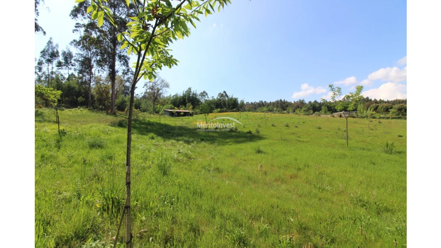 Terreno para Venda em Associação de Freguesias do Vale do Neiva Foto 12