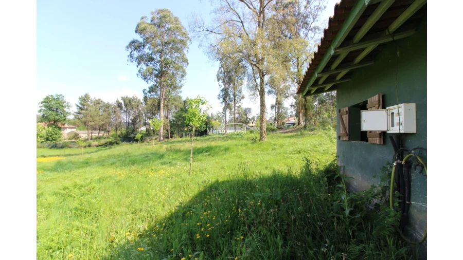 Terreno para Venda em Associação de Freguesias do Vale do Neiva Foto 9