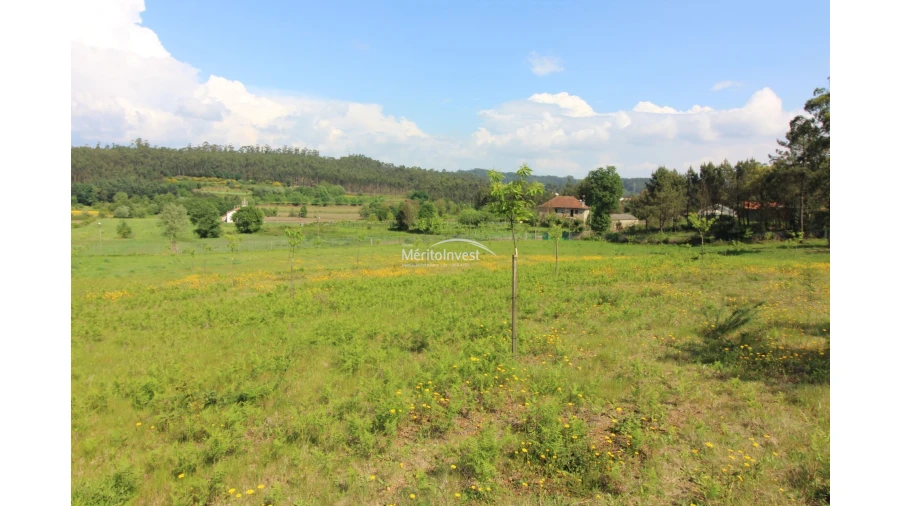 Terreno para Venda em Associação de Freguesias do Vale do Neiva Foto 5