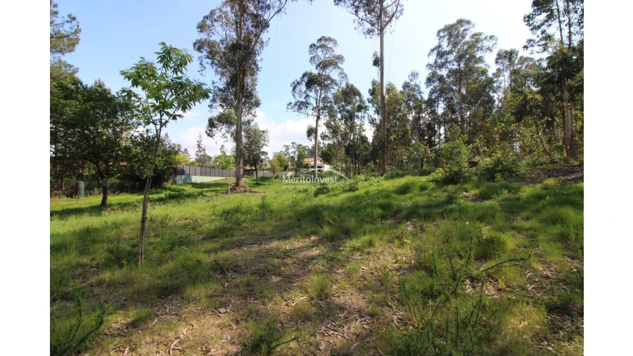 Terreno para Venda em Associação de Freguesias do Vale do Neiva Foto 11