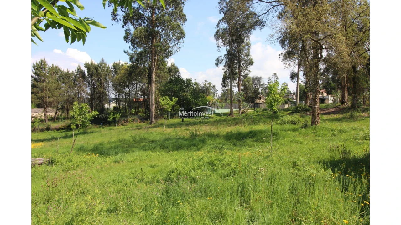 Terreno para Venda em Associação de Freguesias do Vale do Neiva Foto 7