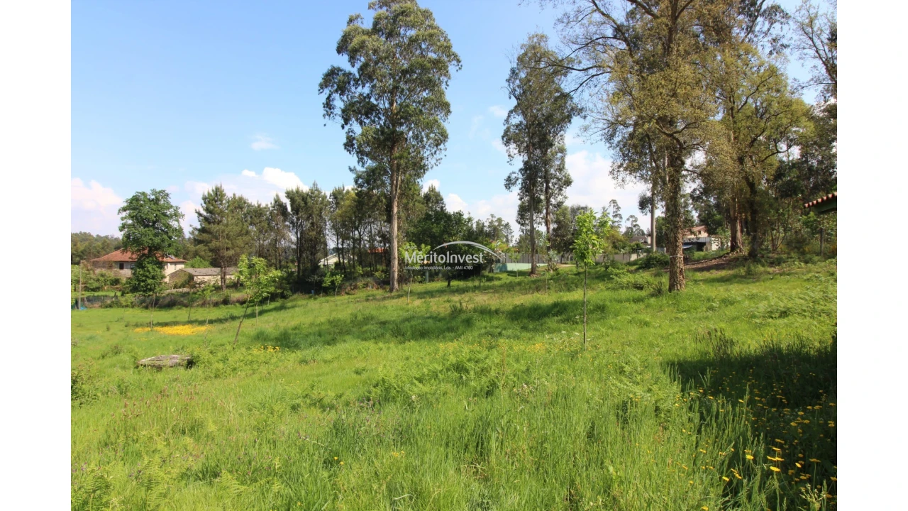 Terreno para Venda em Associação de Freguesias do Vale do Neiva Foto 8