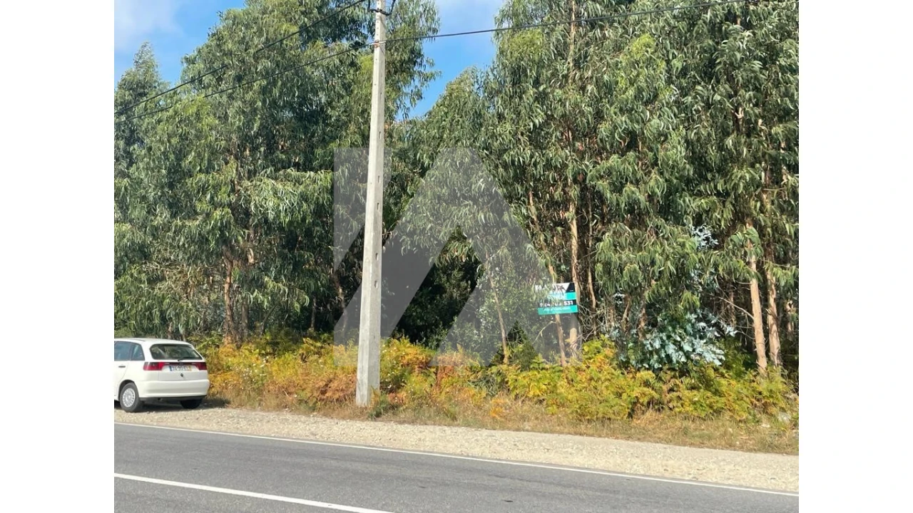 Terreno para Venda em Ovar, São João, Arada e São Vicente de Pereira Jusã Foto 5