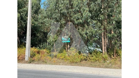 Terreno para Venda em Ovar, São João, Arada e São Vicente de Pereira Jusã
