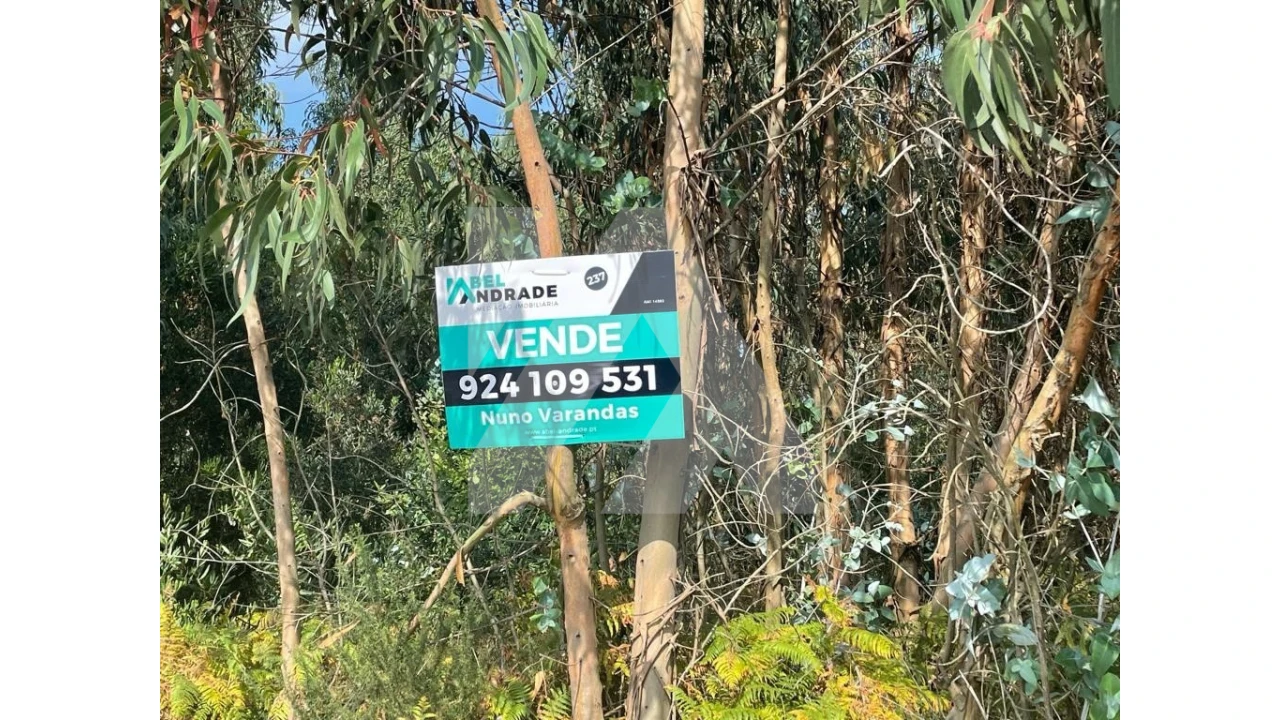 Terreno para Venda em Ovar, São João, Arada e São Vicente de Pereira Jusã Foto 4