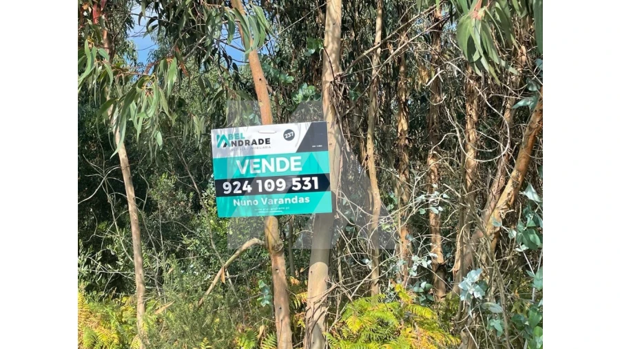 Terreno para Venda em Ovar, São João, Arada e São Vicente de Pereira Jusã Foto 4