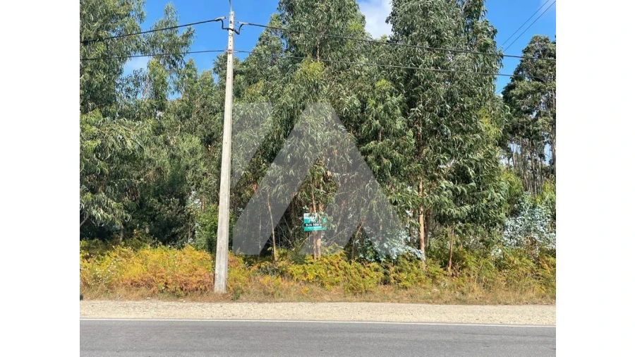 Terreno para Venda em Ovar, São João, Arada e São Vicente de Pereira Jusã Foto 3