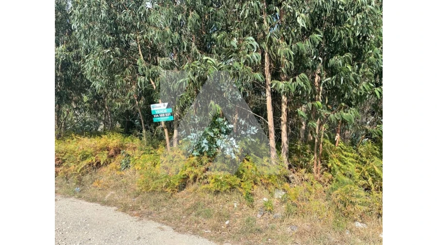 Terreno para Venda em Ovar, São João, Arada e São Vicente de Pereira Jusã Foto 7