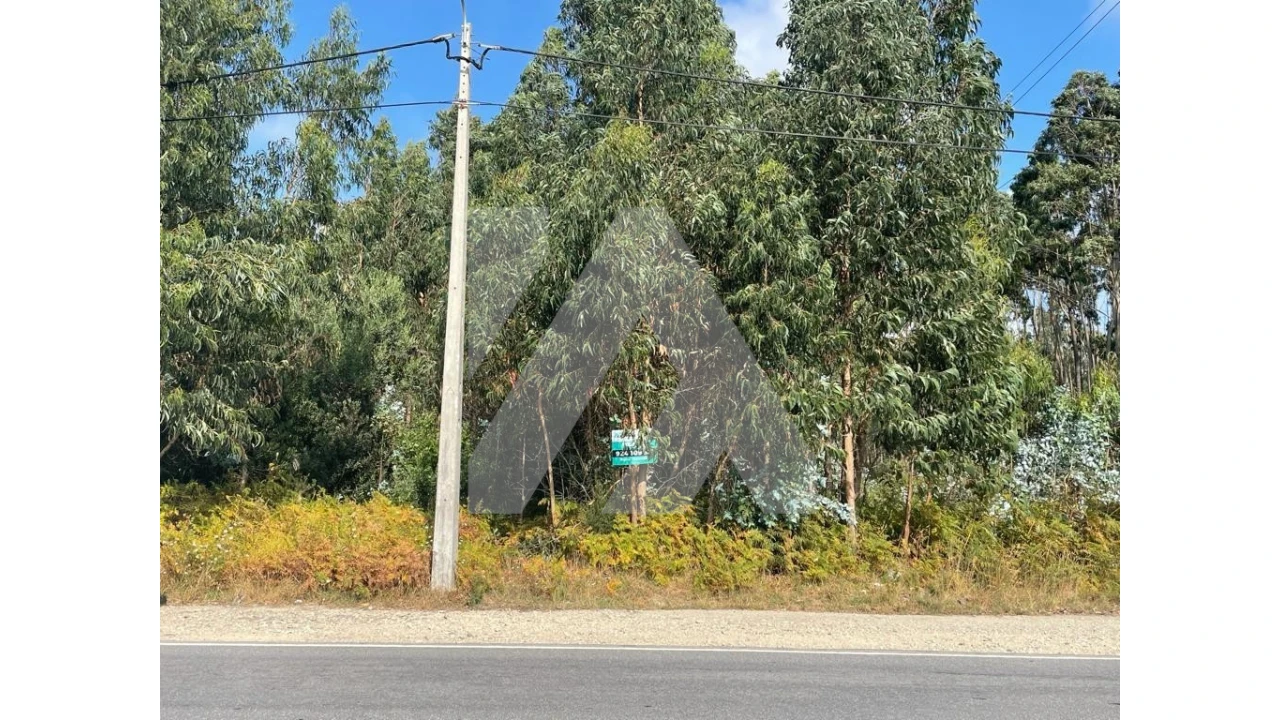 Terreno para Venda em Ovar, São João, Arada e São Vicente de Pereira Jusã Foto 3