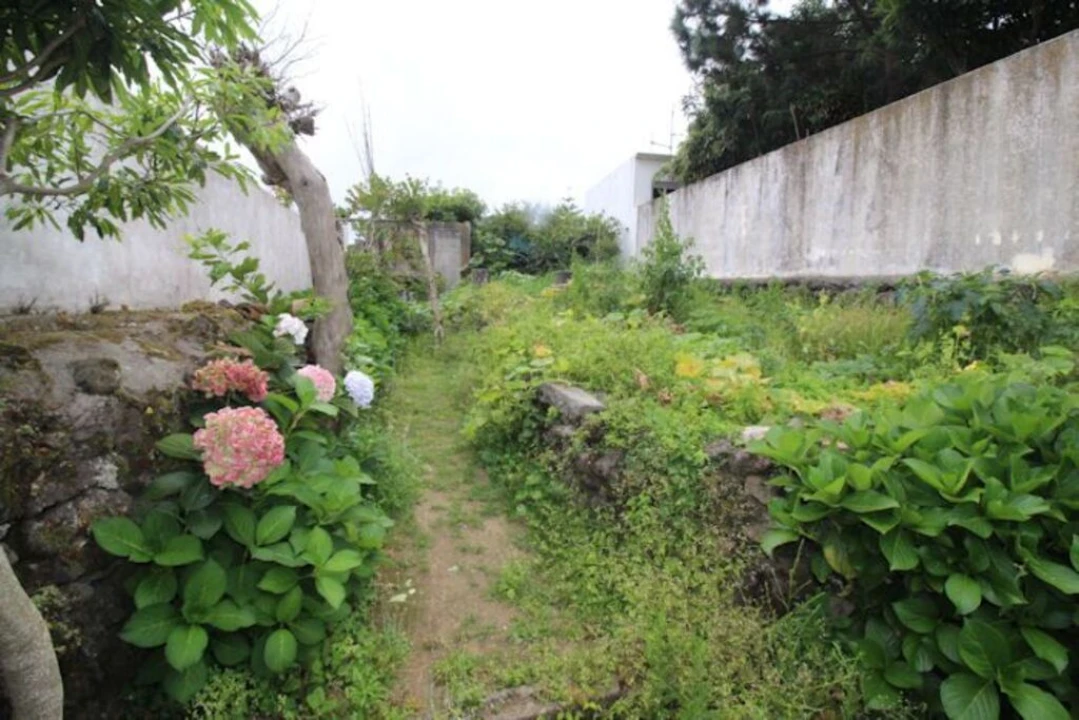 Moradia T3 para Venda em Fajã de Cima Foto 7