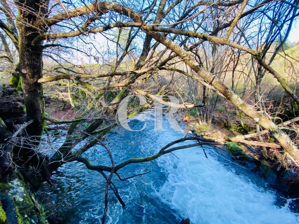 Terreno para Venda em Pedrogão Grande Foto 18