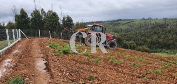 Terreno para Venda em Pedrogão Grande