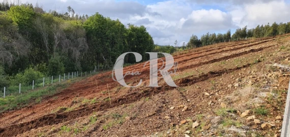 Terreno para Venda em Pedrogão Grande