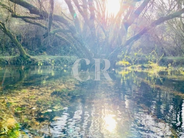 Terreno para Venda em Pedrogão Grande