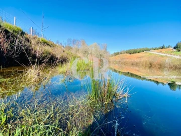 Terreno para Venda em Pedrogão Grande
