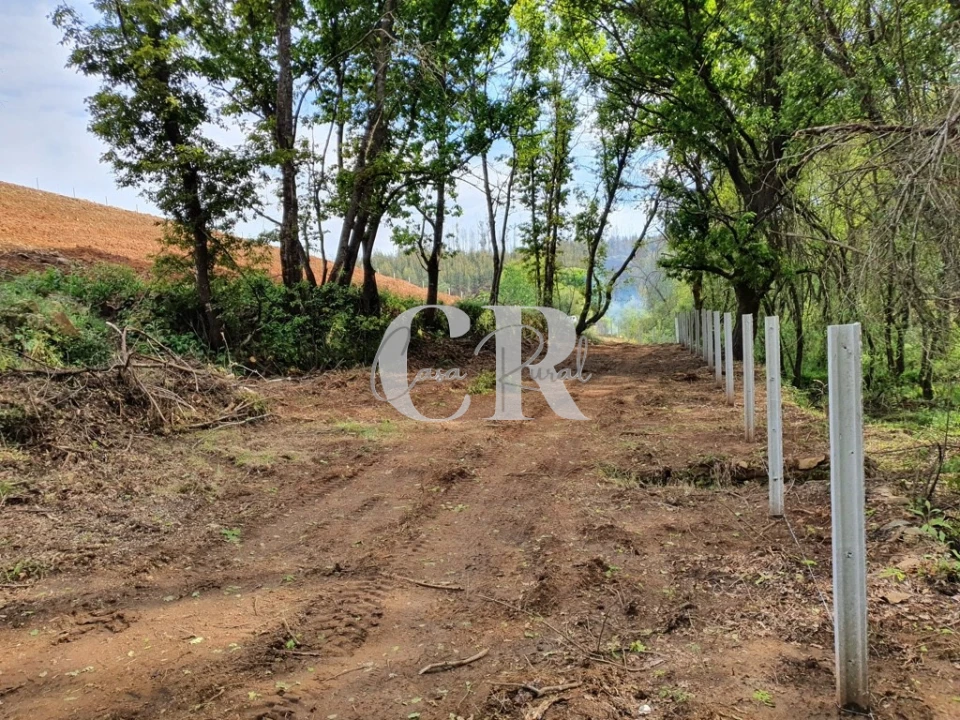 Terreno para Venda em Pedrogão Grande Foto 22