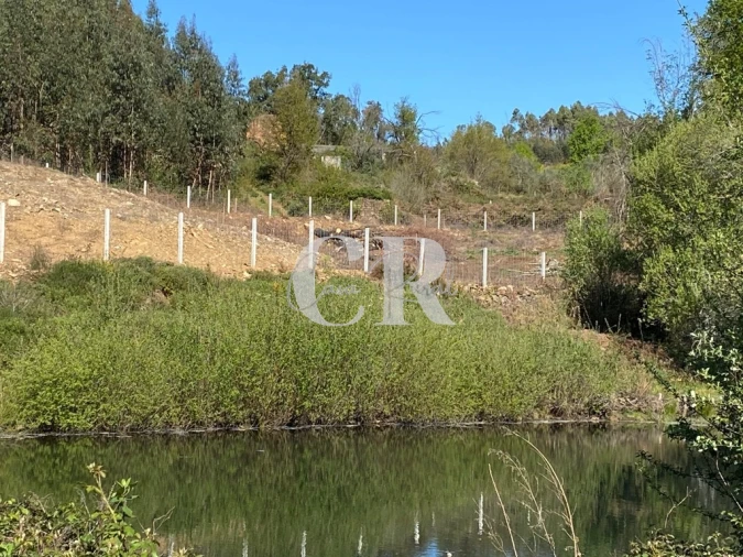 Terreno para Venda em Pedrogão Grande Foto 12