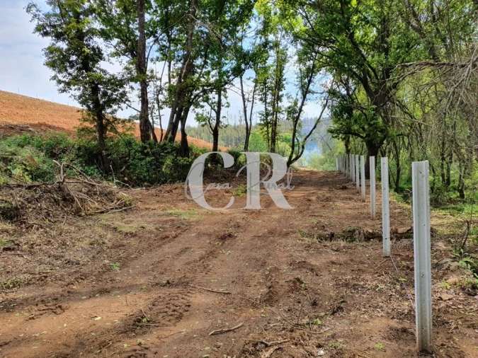 Terreno para Venda em Pedrogão Grande Foto 22