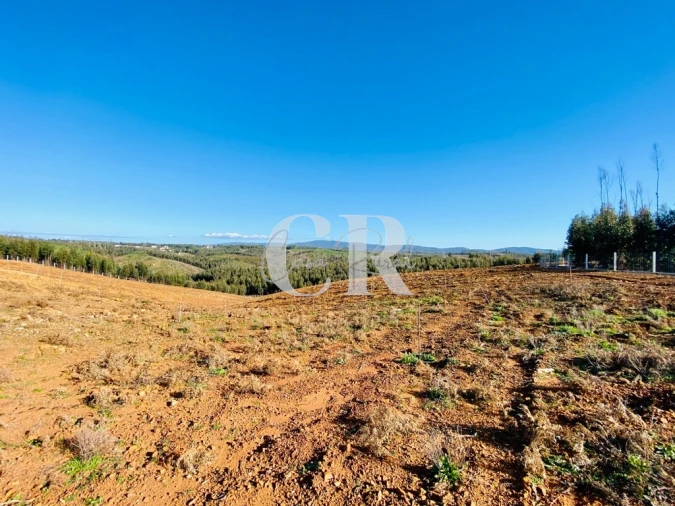 Terreno para Venda em Pedrogão Grande Foto 11