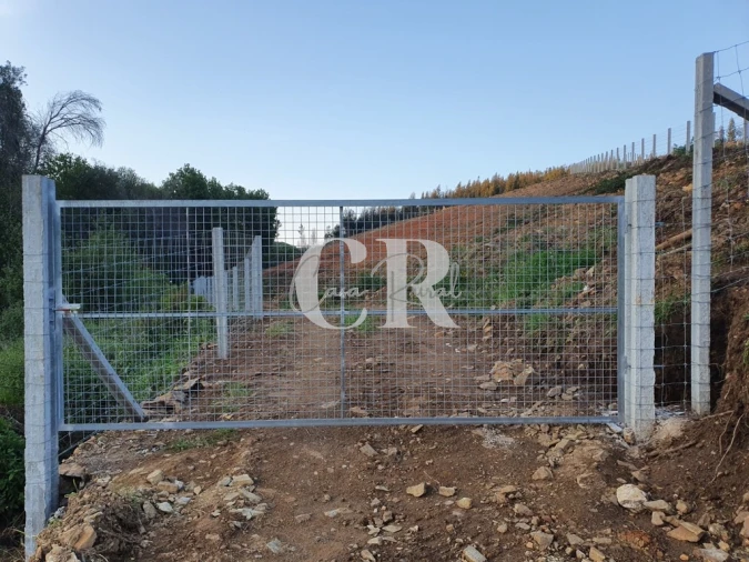 Terreno para Venda em Pedrogão Grande Foto 23