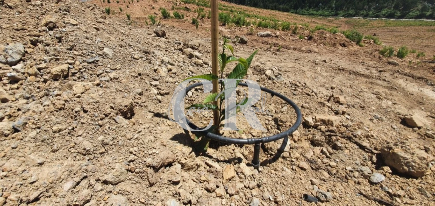 Terreno para Venda em Pedrogão Grande Foto 27