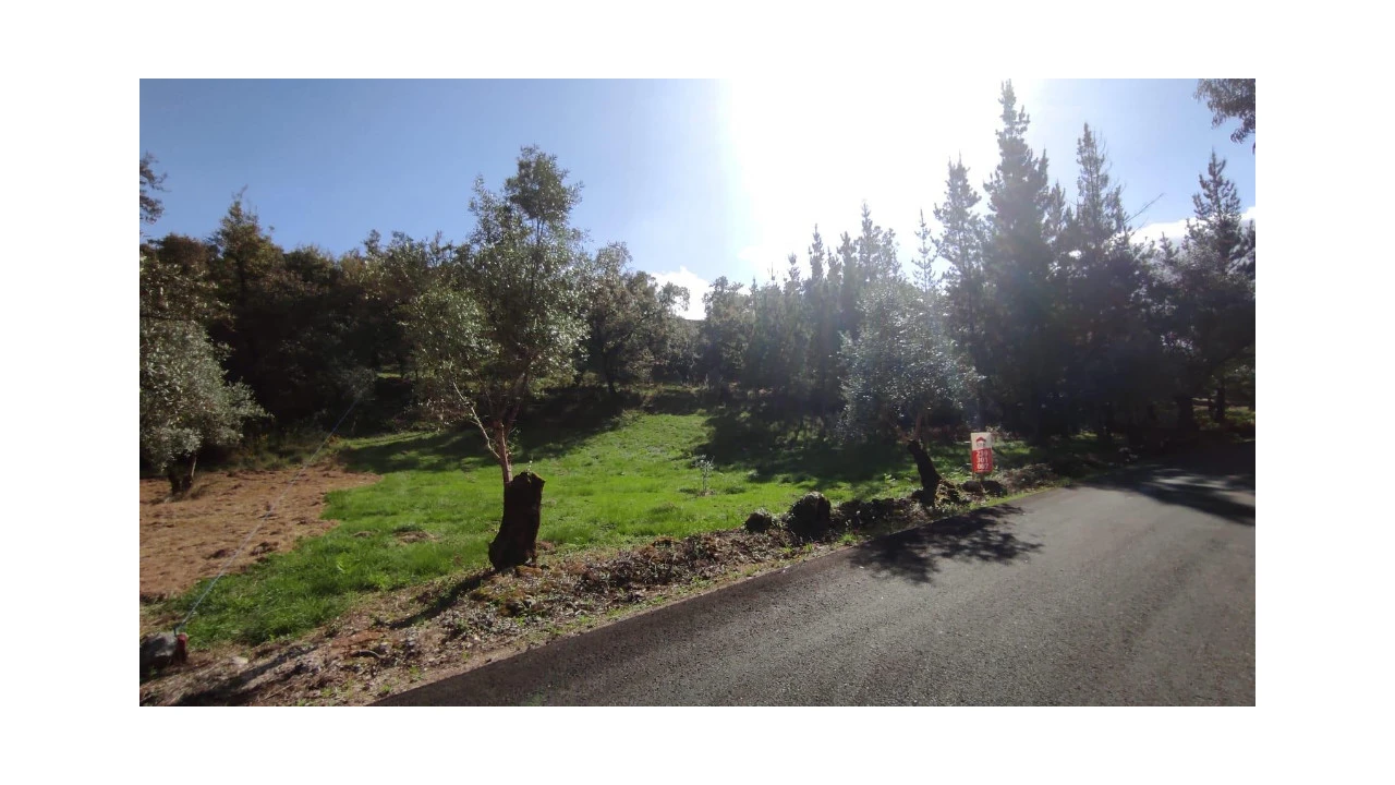 Terreno para Venda em Tapeus Foto 1