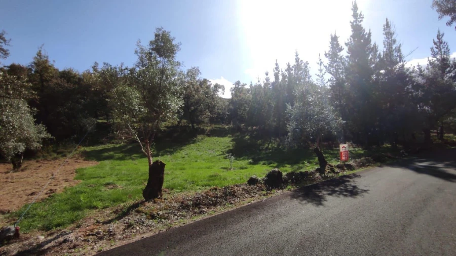 Terreno para Venda em Tapeus Foto 1