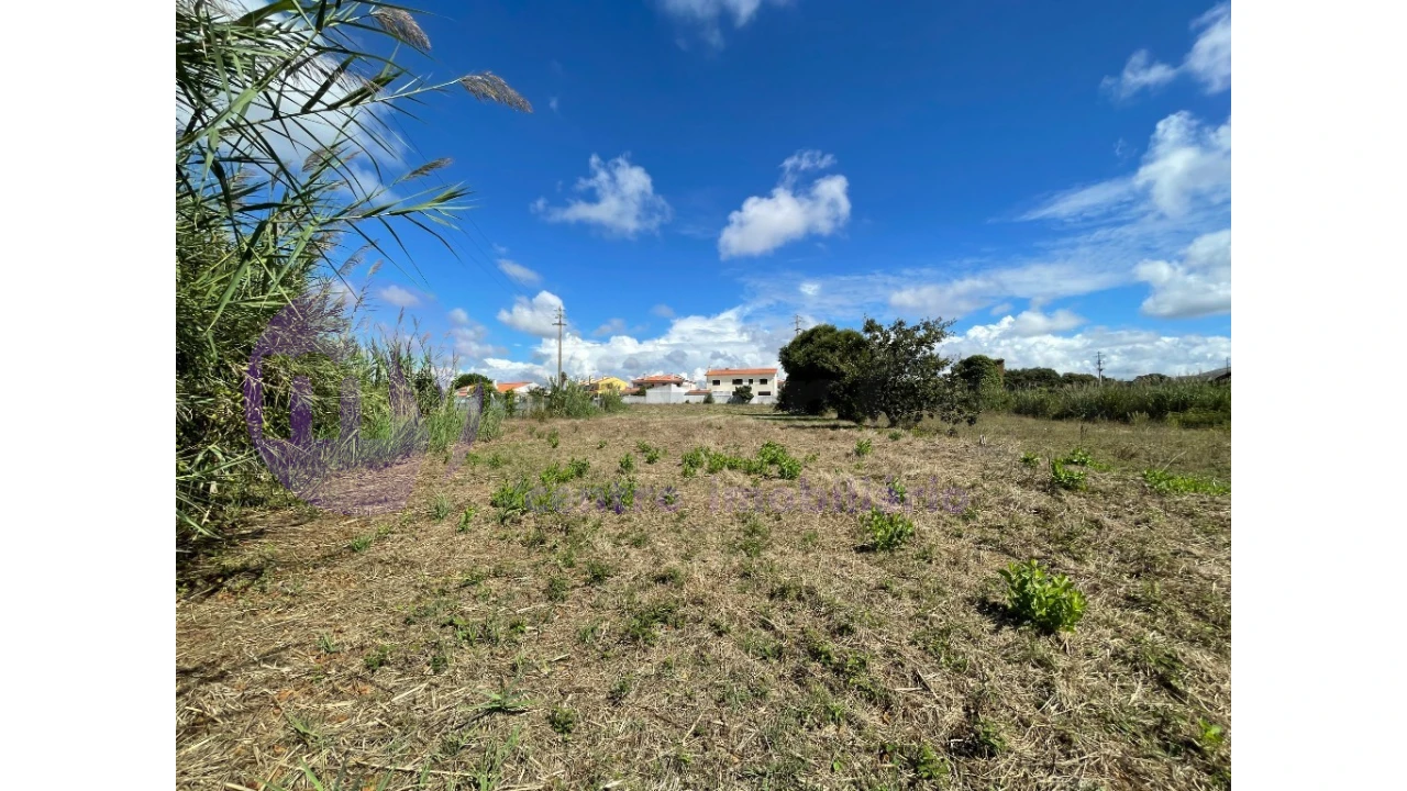 Terreno para Venda em Caldas da Rainha - Santo Onofre e Serra do Bouro Foto 5