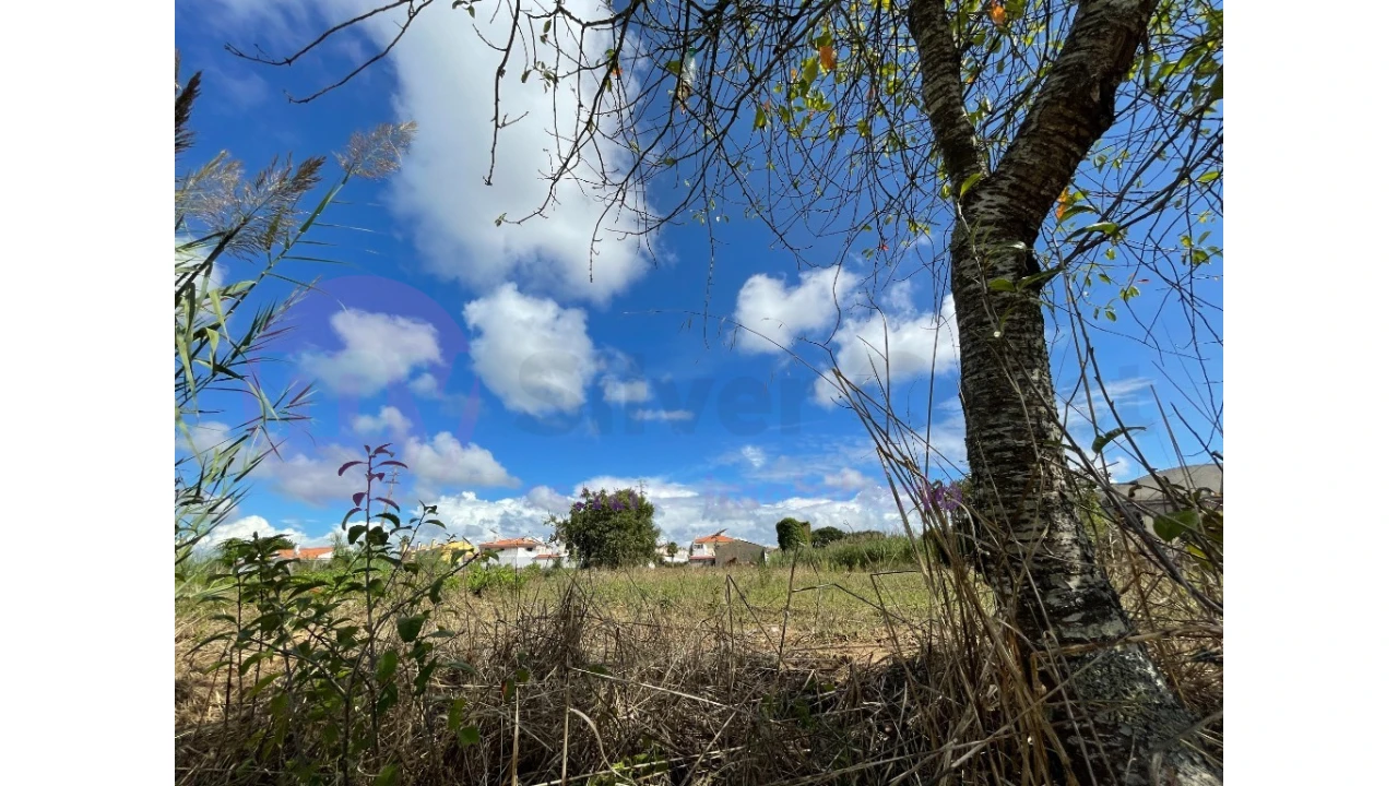 Terreno para Venda em Caldas da Rainha - Santo Onofre e Serra do Bouro Foto 9