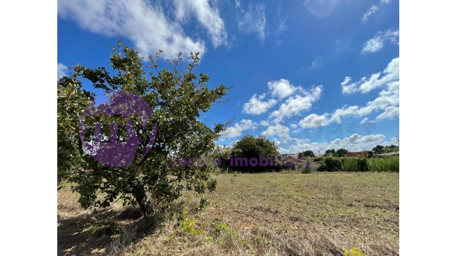 Terreno para Venda em Caldas da Rainha - Santo Onofre e Serra do Bouro Foto 6