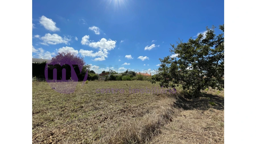 Terreno para Venda em Caldas da Rainha - Santo Onofre e Serra do Bouro Foto 8