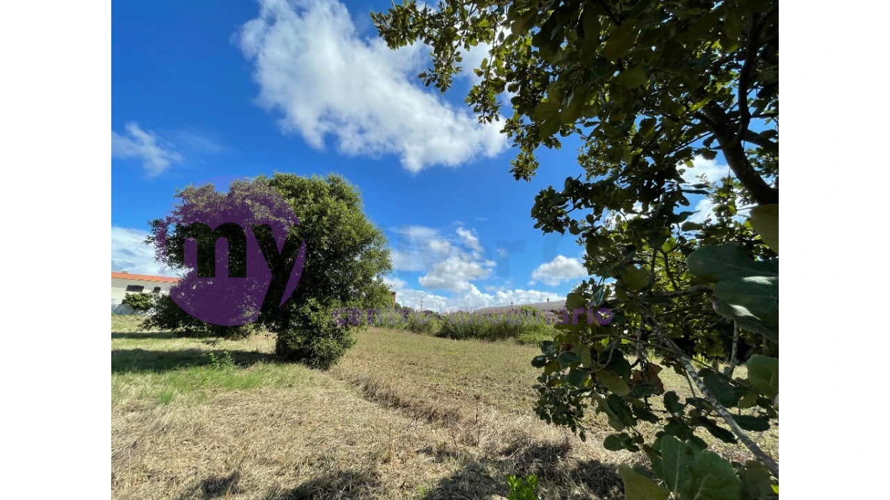 Terreno para Venda em Caldas da Rainha - Santo Onofre e Serra do Bouro Foto 7