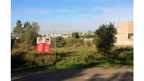 Terreno para Venda em Cernache