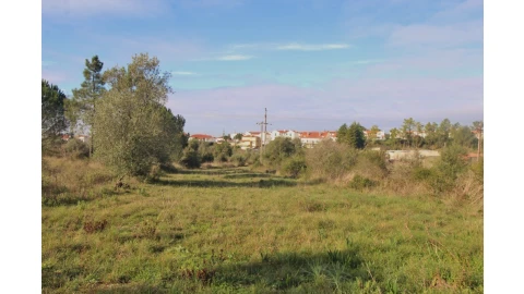 Terreno para Venda em Cernache