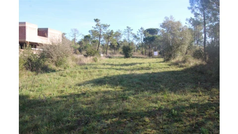Terreno para Venda em Cernache