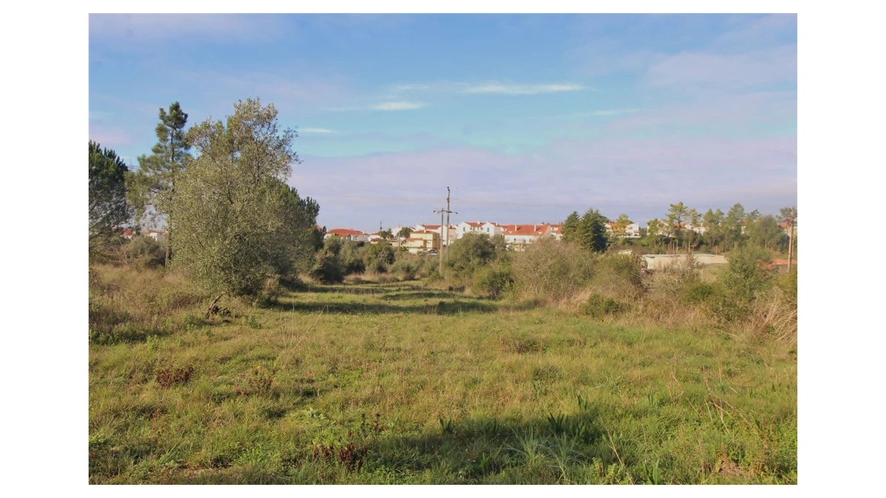 Terreno para Venda em Cernache Foto 2