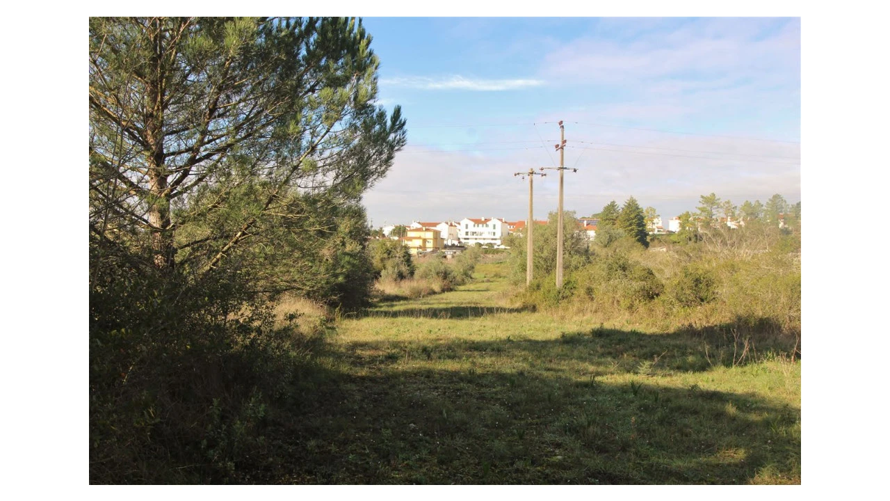 Terreno para Venda em Cernache Foto 3